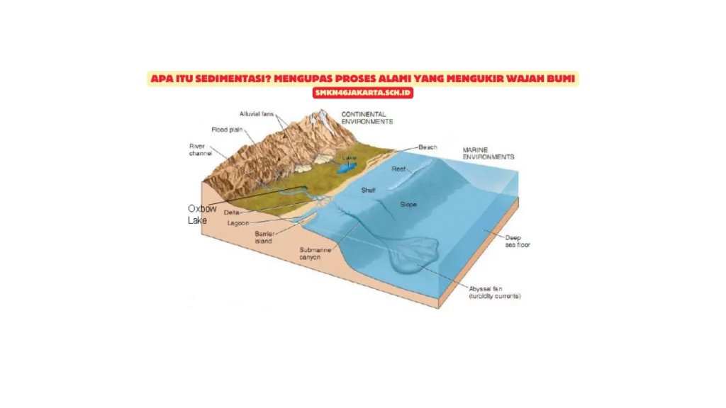 Apa-Itu-Sedimentasi