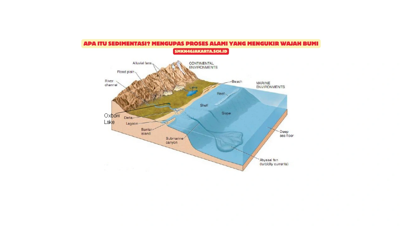 Apa Itu Sedimentasi? Mengupas Proses Alami yang Mengukir Wajah Bumi